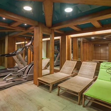 Pierre & Premium La Ginabelle 4* Chamonix