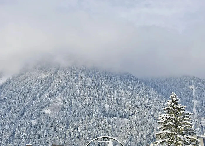 Pierre & Premium La Ginabelle 4* Chamonix